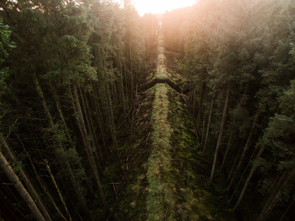  Glenariff Forest, County Antrim, Northern Ireland, Drone Photography, DJI Phantom 3 