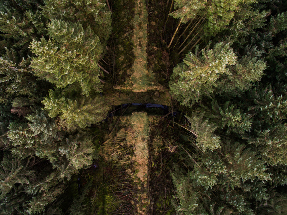  Glenariff Forest, County Antrim, Northern Ireland, Drone Photography, DJI Phantom 3 